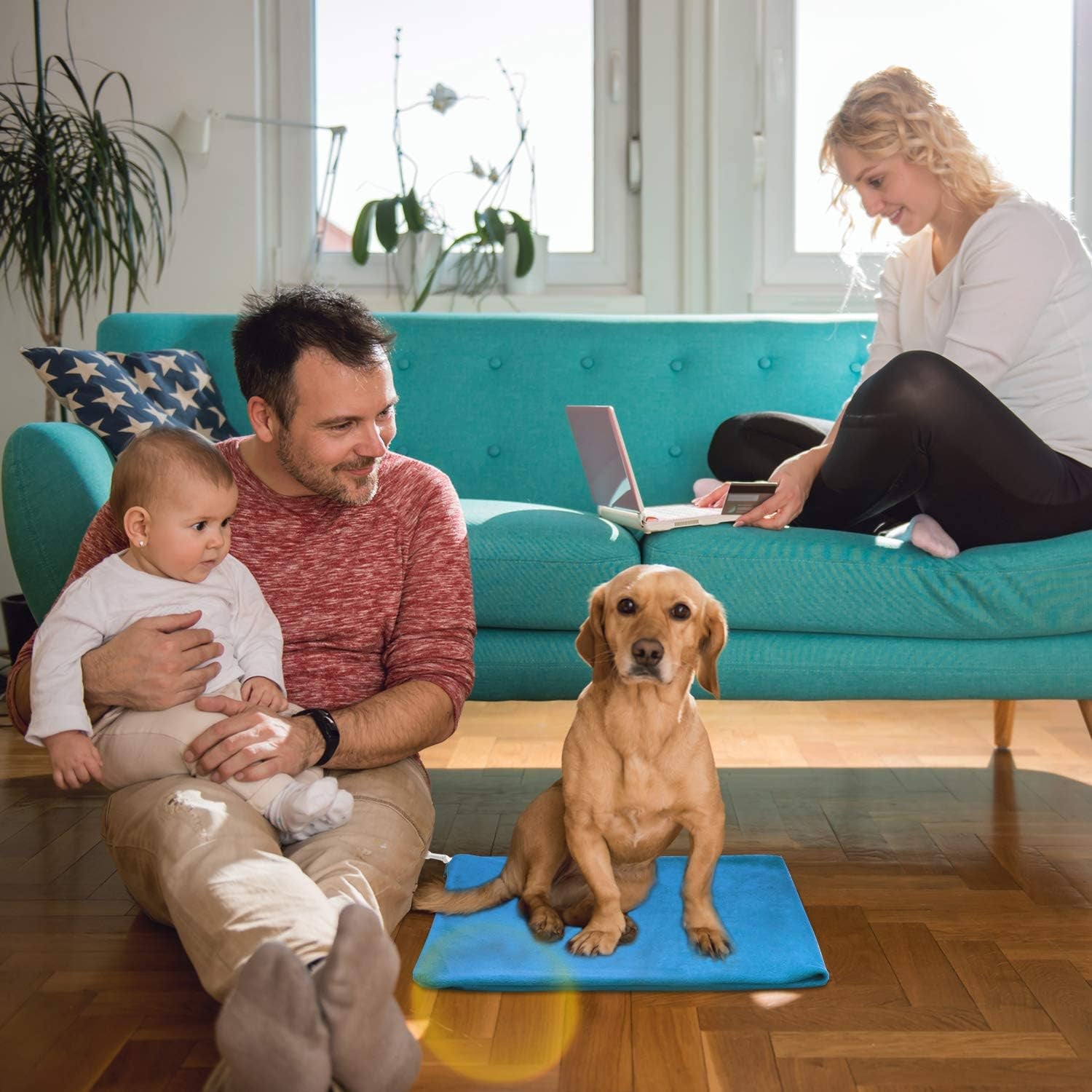 Pet Heating Pad,Cat Dog Electric Pet Heating Pad Indoor Waterproof,Auto Constant Temperature, Chew Resistant Steel Cord (Blue, XS-12" X 12")